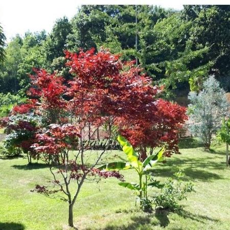 Istanti - Menta Apartment Costigliole Saluzzo Bagian luar foto