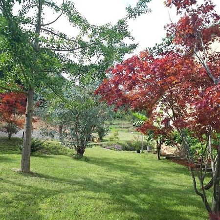 Istanti - Menta Apartment Costigliole Saluzzo Bagian luar foto