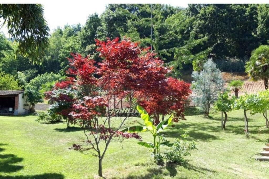 Istanti - Menta Apartment Costigliole Saluzzo Bagian luar foto