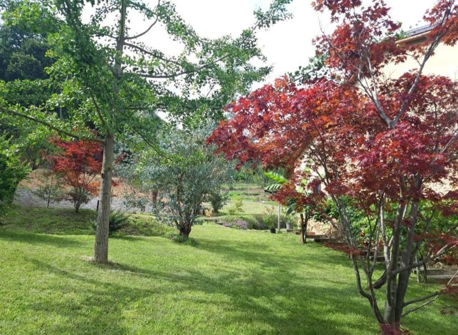 Istanti - Menta Apartment Costigliole Saluzzo Bagian luar foto